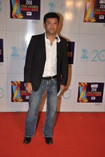 at Zee Awards red carpet in Mumbai on 6th Jan 2013 (39).JPG